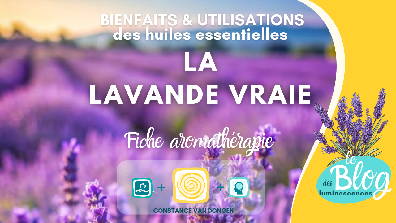 Fiche aromathérapie - Huile essentielle de Lavande vraie par Constance van Dongen, esthéticienne Corps • âme • Esprit : Soins Énergétiques, phyto cosmétique, neuroSCiences et Sophrologue en visio et à Dourges (entre Lille et Arras)
