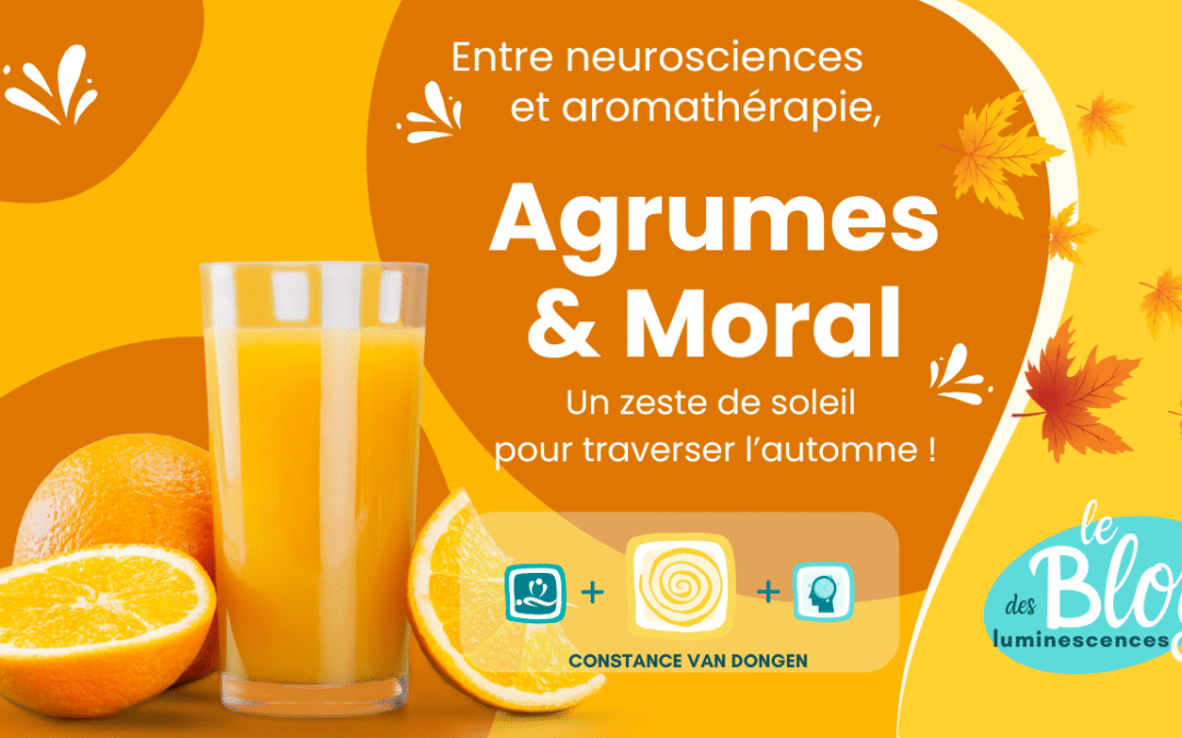 🍊 Bienfaits des agrumes sur le moral – dossier aromathérapie