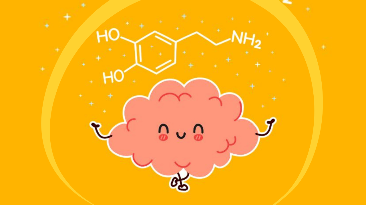 Dopamine & Santé Mentale - neurotransmetteur de la motivation et du plaisir - par Constance van Dongen, esthéticienne Corps • âme • Esprit : Soins Énergétiques, phyto cosmétique, neuroSCiences et Sophrologue en visio et à Dourges