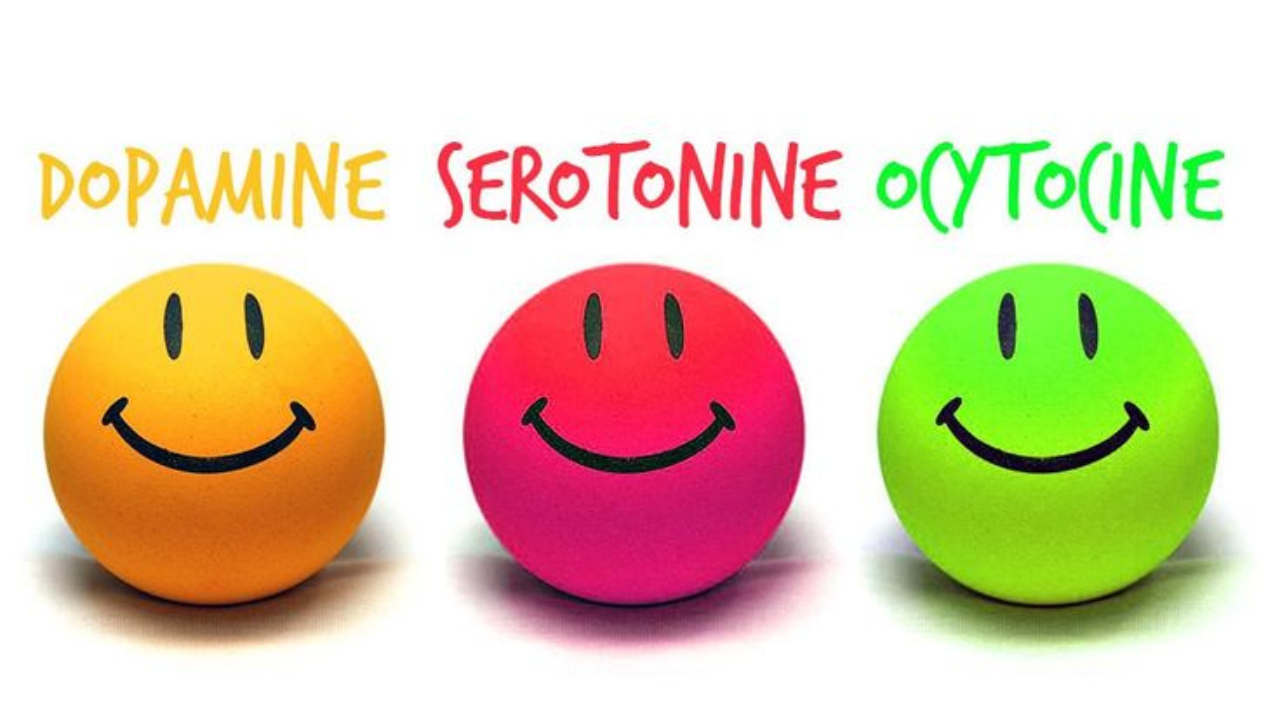 Dopamine, sérotonine, ocytocine - neurotransmetteur ddu bien-être - par Constance van Dongen, esthéticienne Corps • âme • Esprit : Soins Énergétiques, phyto cosmétique, neuroSCiences et Sophrologue en visio et à  Dourges