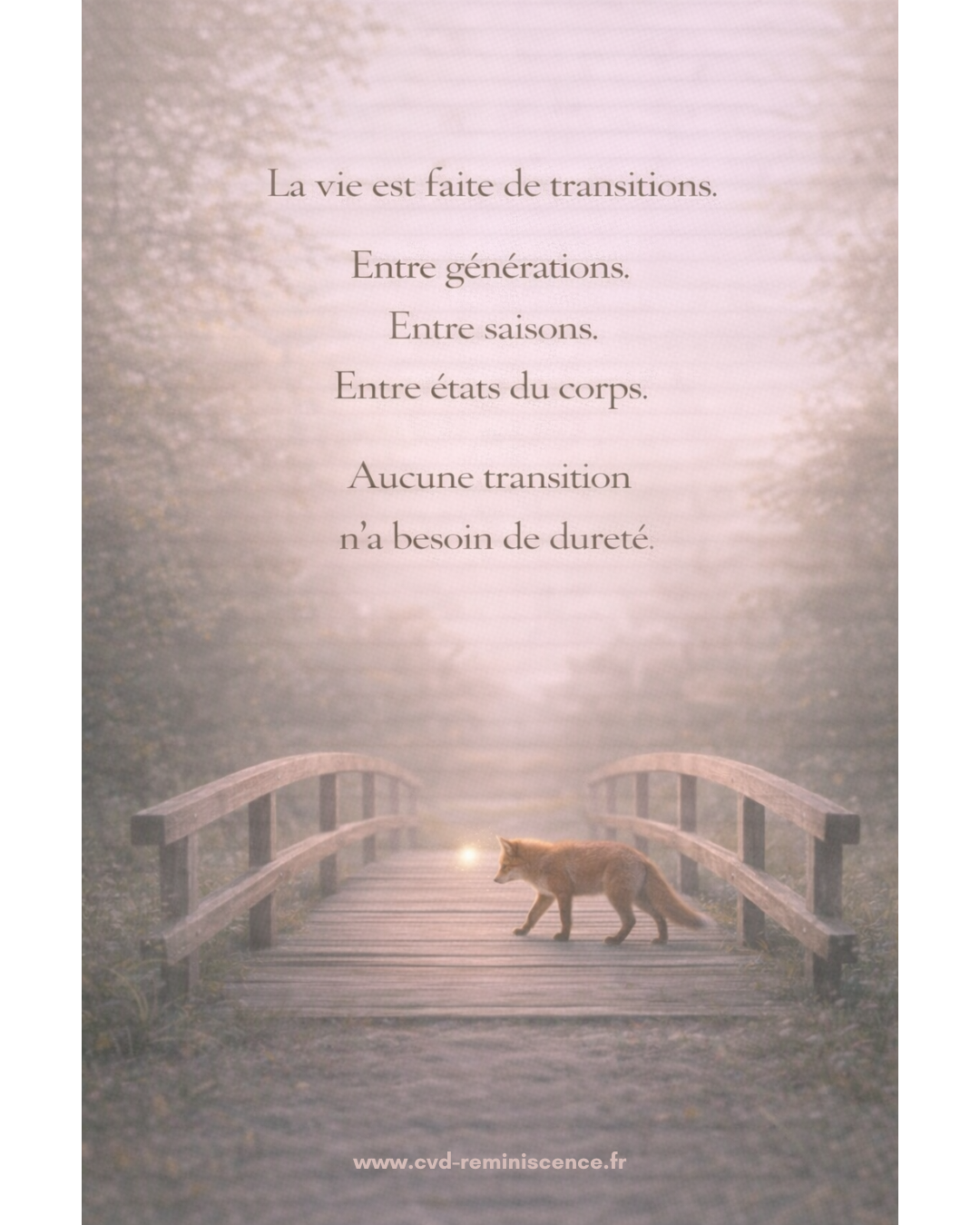 Illustration poétique d’un petit renard traversant un pont en bois au lever du jour dans une lumière douce. Le texte évoque les transitions de la vie entre générations, saisons et états du corps, en rappelant qu’aucune transition n’a besoin de dureté. Image symbolique sur les passages de vie, la transformation transgénérationnelle et l’accompagnement en douceur. © Constance van Dongen – RéminiSCence, Dourges.