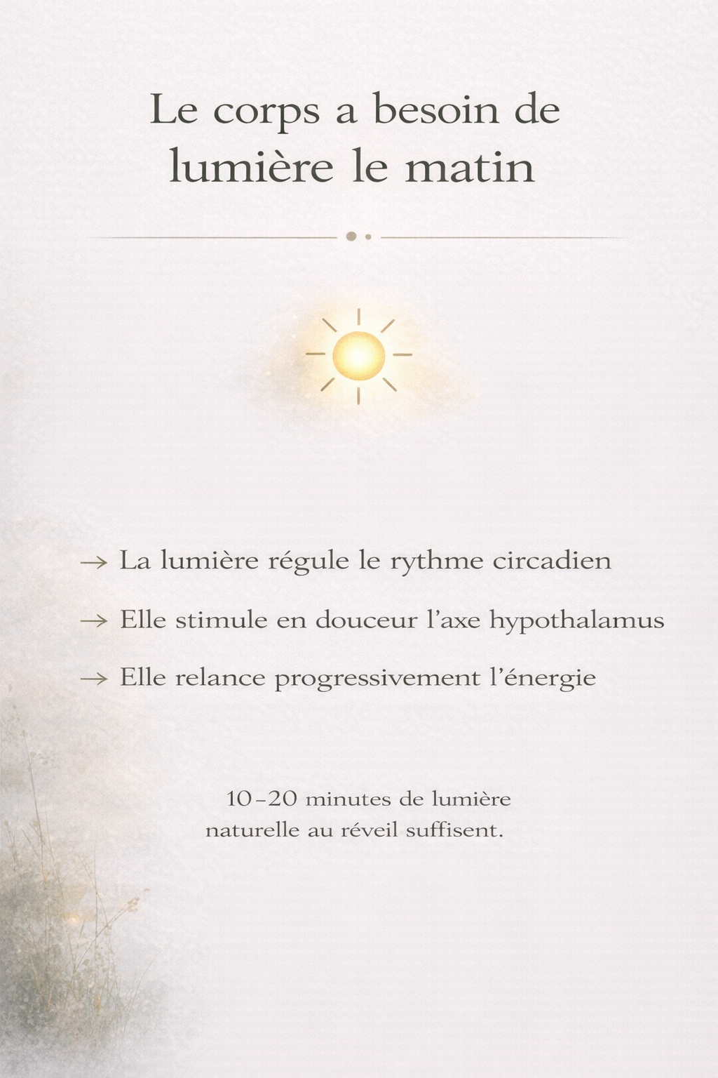 Infographie expliquant l’importance de la lumière naturelle le matin pour réguler le rythme circadien, stimuler l’axe hypothalamus et relancer progressivement l’énergie. Conseil : 10 à 20 minutes de lumière naturelle au réveil suffisent. © Constance van Dongen – RéminiSCence, Dourges.