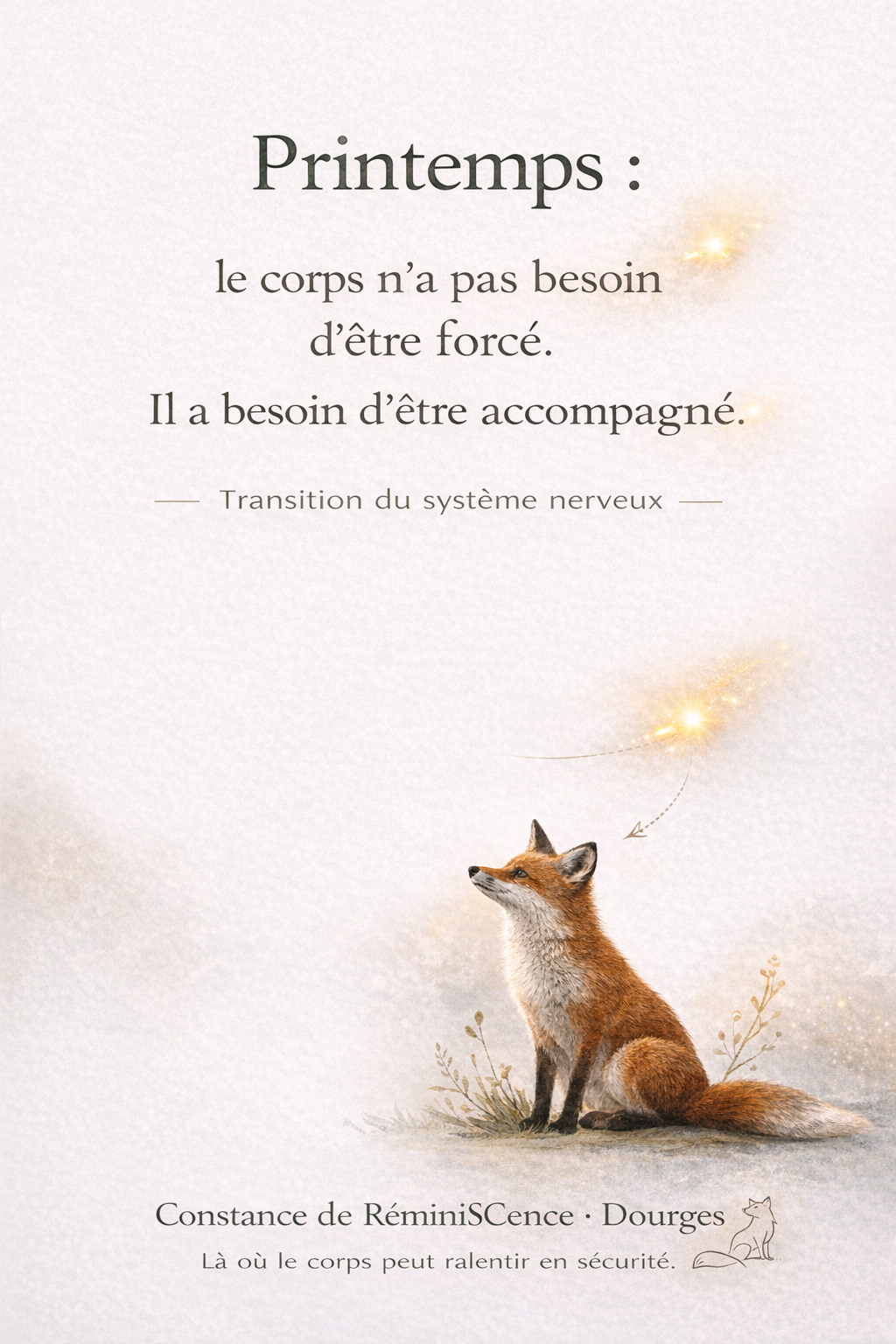 Illustration symbolique du printemps montrant un renard observant une lumière dorée. Citation : “Le corps n’a pas besoin d’être forcé, il a besoin d’être accompagné.” Image évoquant la transition du système nerveux entre l’hiver et le printemps et l’importance de respecter le rythme naturel du corps. © Constance van Dongen – RéminiSCence, Dourges.