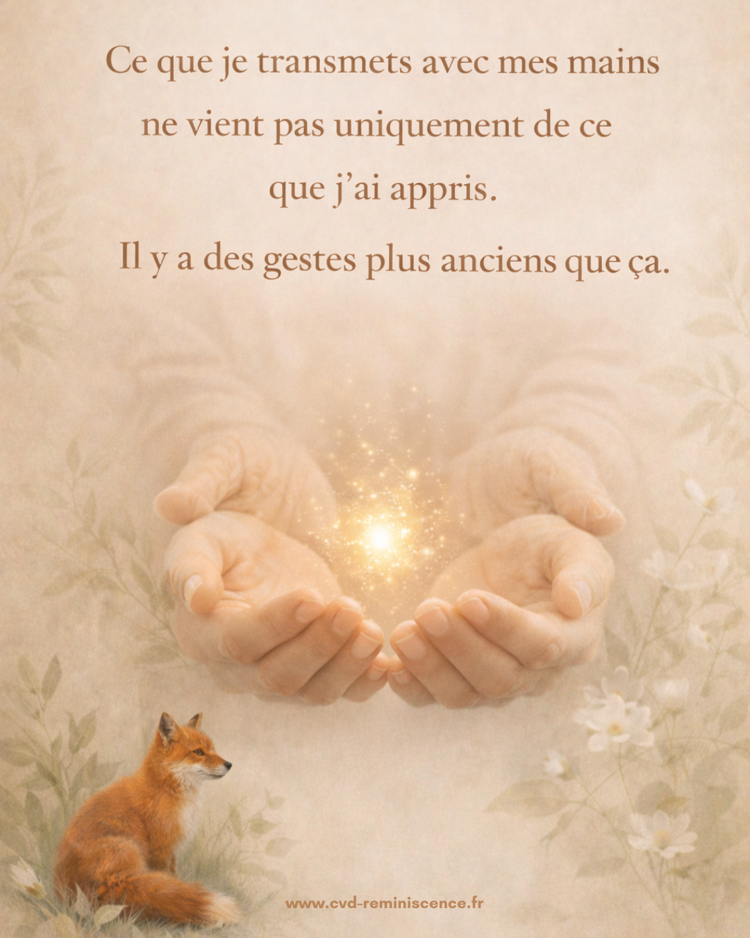Transmission invisible par le toucher – RéminiSCences du corps Mains ouvertes tenant une lumière douce symbolisant la transmission invisible, avec un renard et une ambiance végétale apaisante, illustration du concept RéminiSCences du corps.