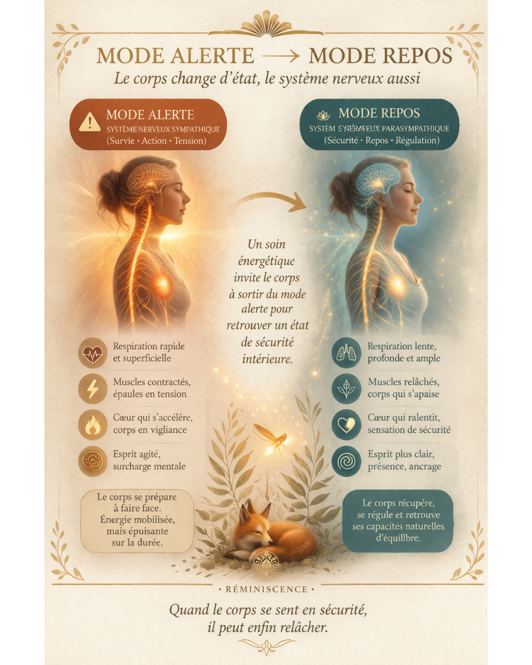 Mode alerte vs mode repos : comprendre le système nerveux simplement Schéma du système nerveux montrant le passage du mode alerte au mode repos avec respiration, tensions et état mental – RéminiSCence Dourges