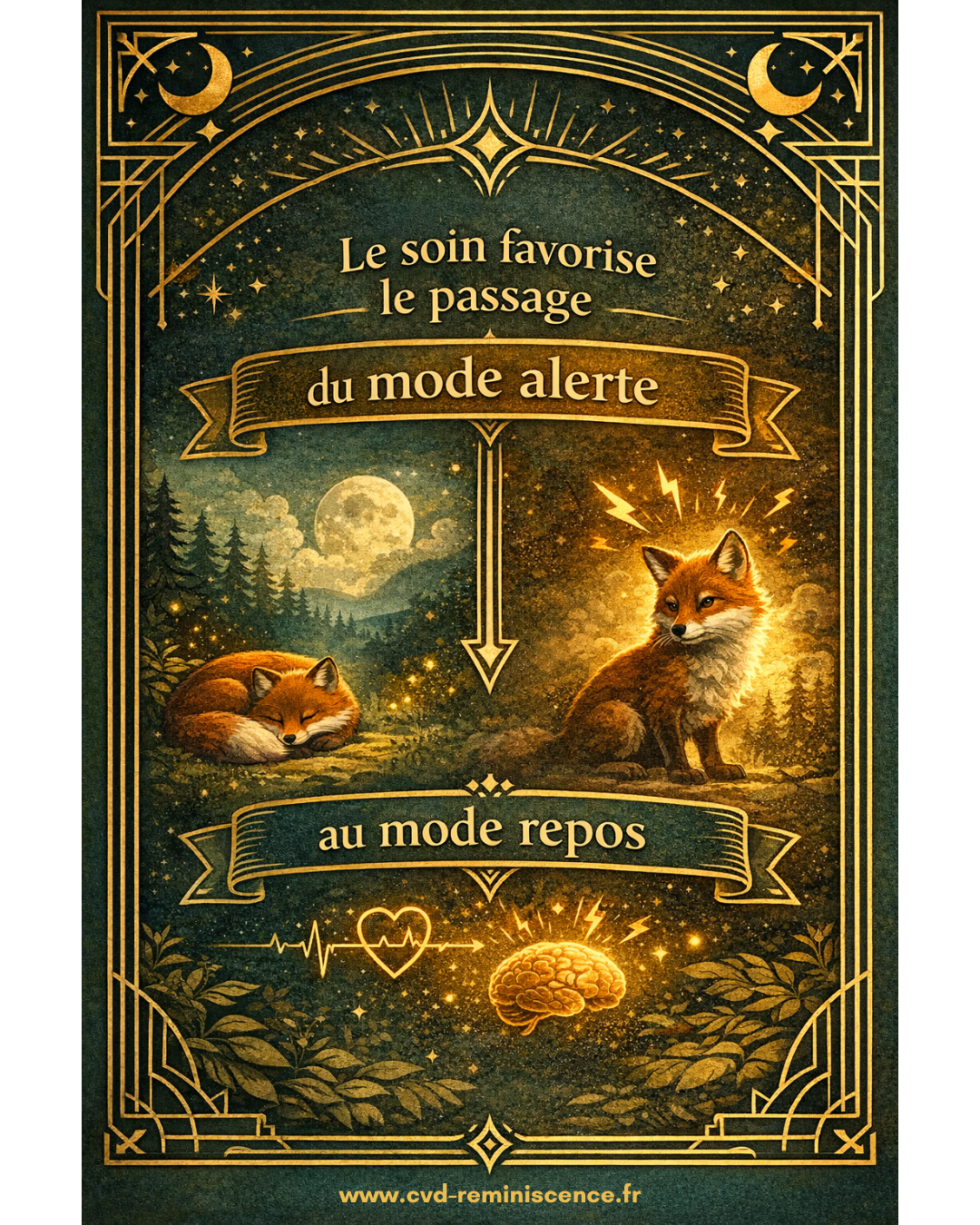 Du mode alerte au mode repos : ce que fait vraiment un soin énergétique Illustration du passage du système nerveux du mode alerte au mode repos grâce à un soin énergétique, avec représentation du cerveau et du relâchement corporel – RéminiSCence Dourges