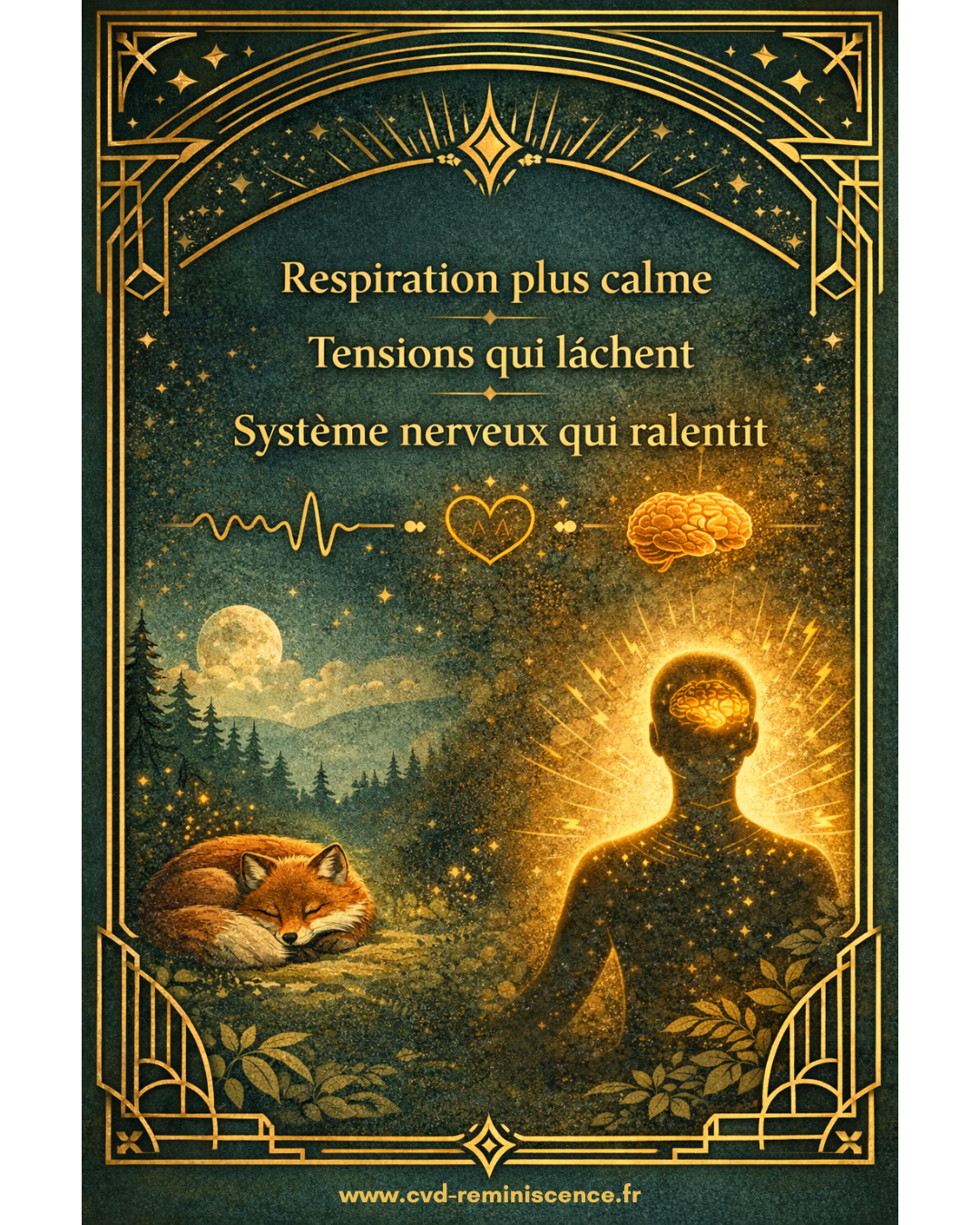 Respiration calme, tensions qui lâchent : ce que fait vraiment un soin énergétique Illustration du corps apaisé avec respiration calme, tensions qui se relâchent et système nerveux qui ralentit lors d’un soin énergétique expliqué par les neurosciences – RéminiSCence Dourges