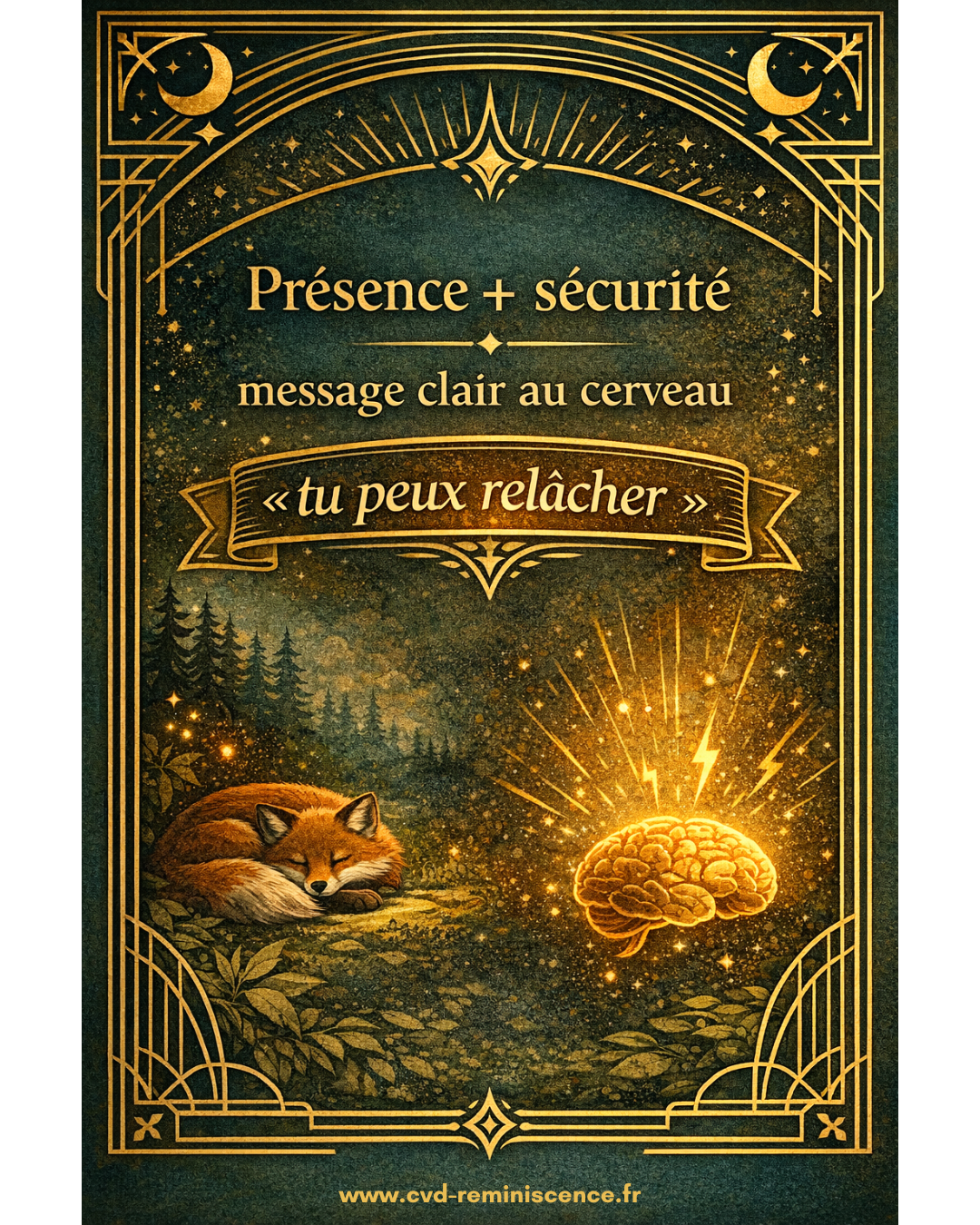 Quand le cerveau se sent en sécurité, le corps peut enfin relâcher Illustration du cerveau recevant un message de sécurité permettant au corps de se relâcher grâce à la régulation du système nerveux lors d’un soin énergétique – RéminiSCence Dourges