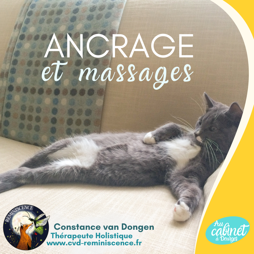 ancrage & massage : carpette le chat !