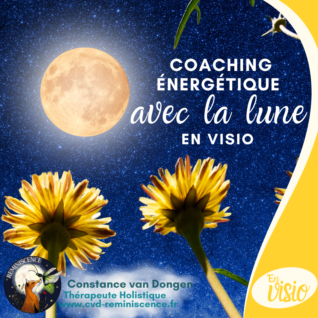 COACHING ENERGETIQUE AVEC LA LUNE - Programme de 1 mois : rituels de lune individuel avec formules de guérison psychique personnalisé et soins énergétiques d'abondance lunaire à distance - 2 x 60 min